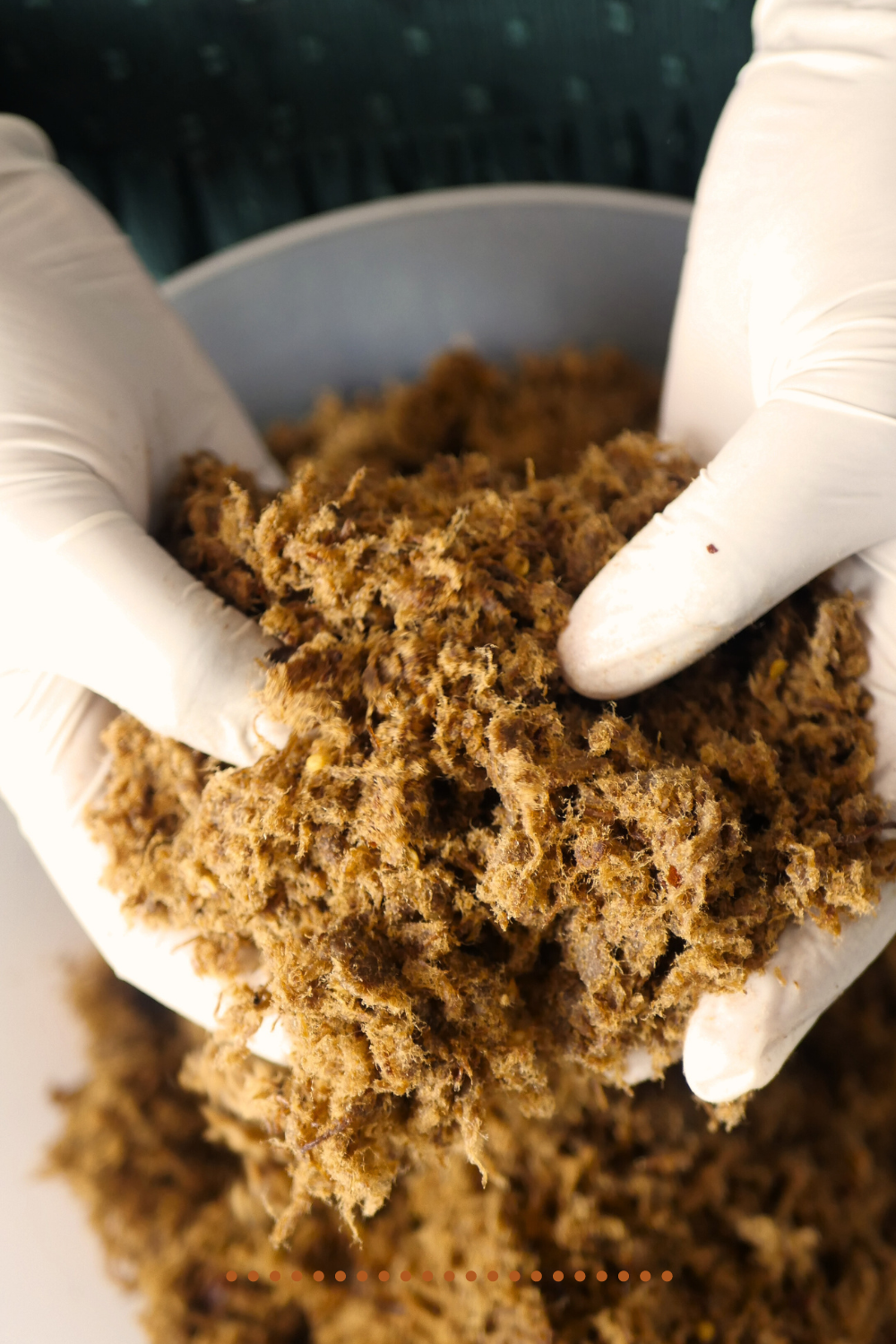 Get a Taste of Dambun Nama: A Northern Nigerian Delight!